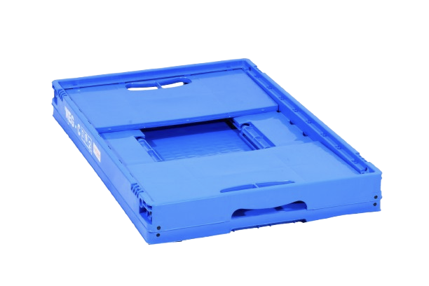 DSC_8453-removebg-preview