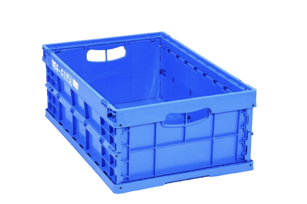 DSC_8454-removebg-preview